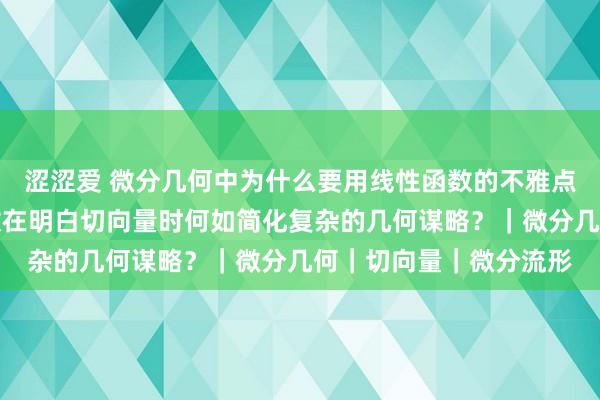 涩涩爱 微分几何中为什么要用线性函数的不雅点来看切向量？线性函数在明白切向量时何如简化复杂的几何谋略？｜微分几何｜切向量｜微分流形