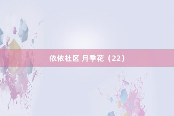 依依社区 月季花（22）